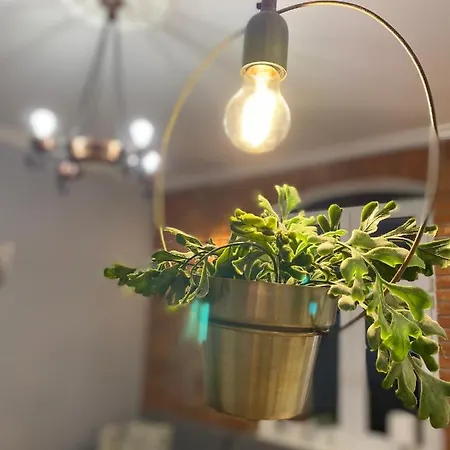 Апартаменты Odrzanka *