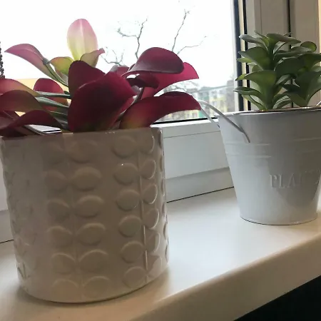 Odrzanka Апартаменты *