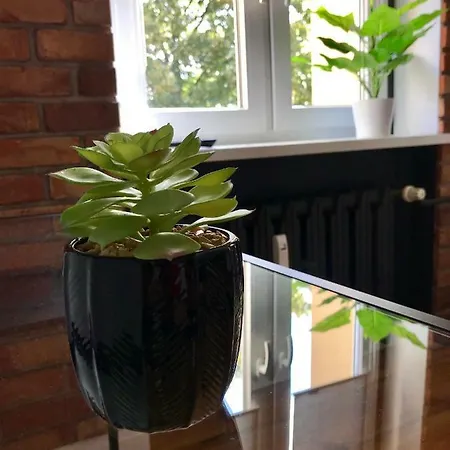 Odrzanka Apartment Gryfino