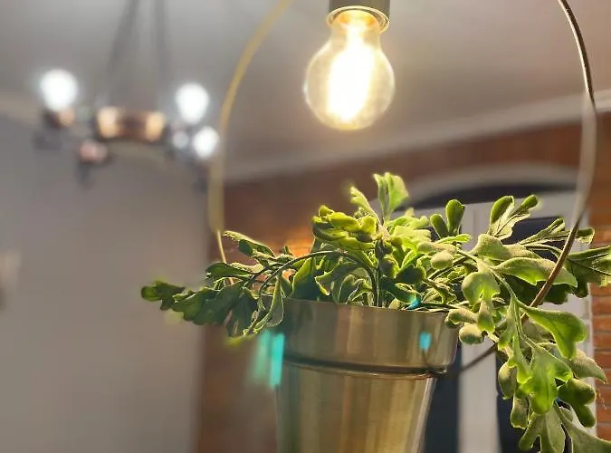 Apartamento Odrzanka *