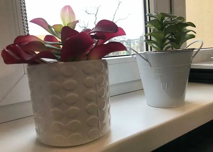 Odrzanka Апартаменты *