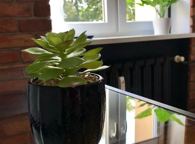 Odrzanka Appartement Gryfino